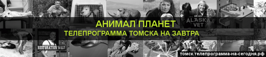 Телепрограмма на завтра канала Анимал Планет, Томск