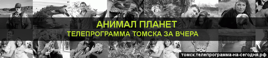 Телепрограмма за вчера канала Анимал Планет, Томск