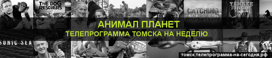 Телепрограмма на неделю канала Анимал Планет, Томск